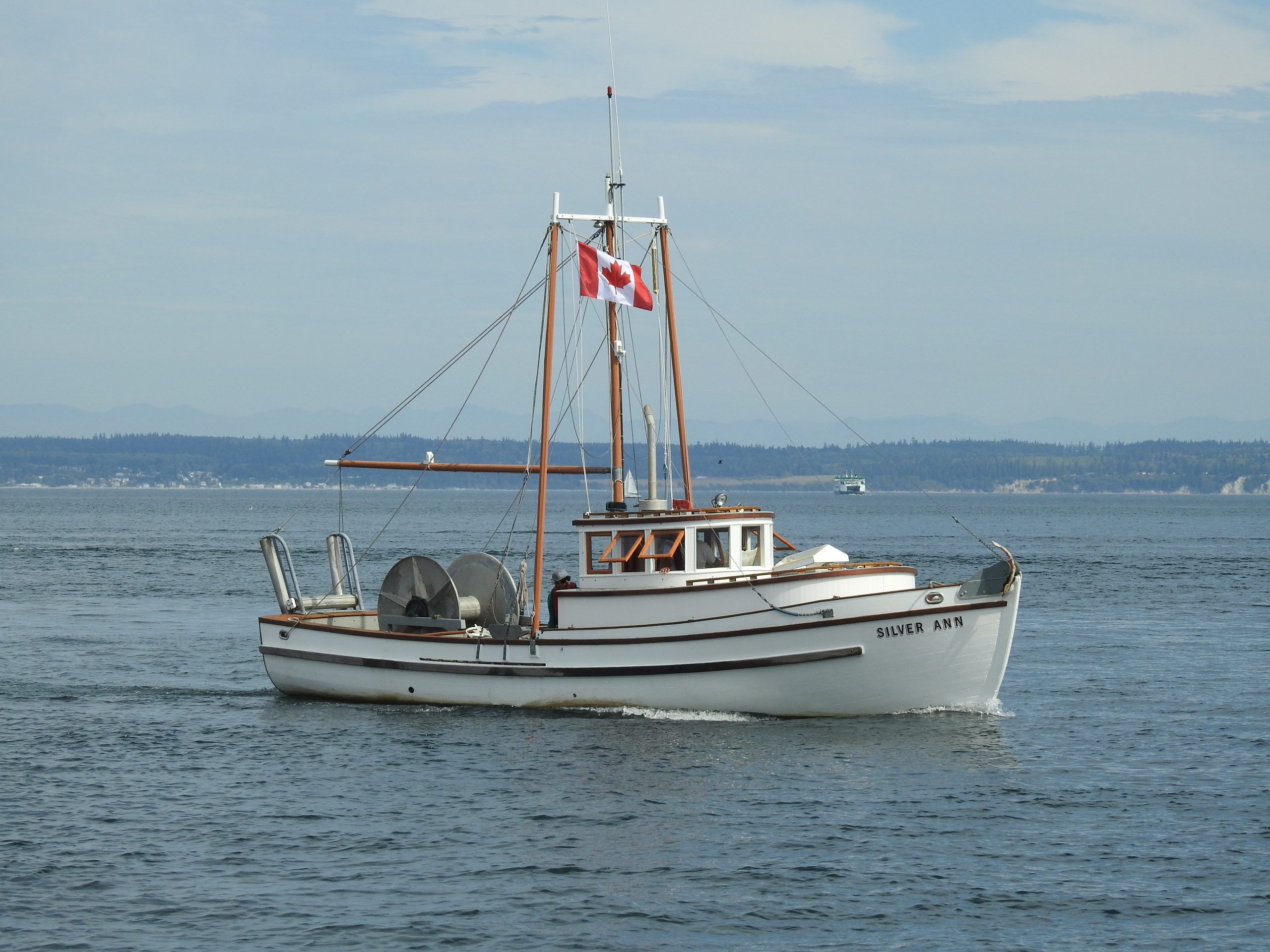 Silver Ann - courtesy of Dave Sharp
